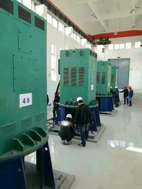 莒县某污水处理厂使用我厂的立式高压电机安装现场